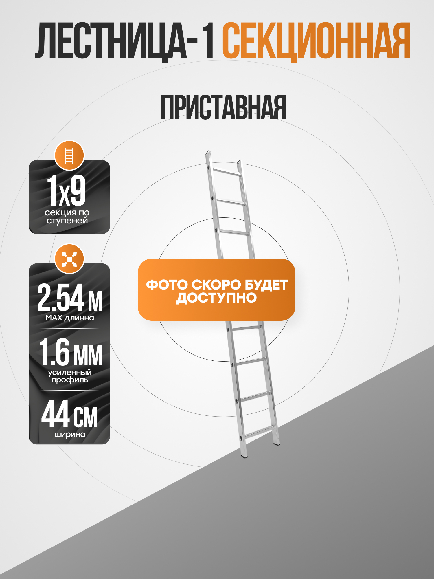 Лестница односекционная приставная 1х9, PT1449